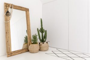 a nice mirror and plants
